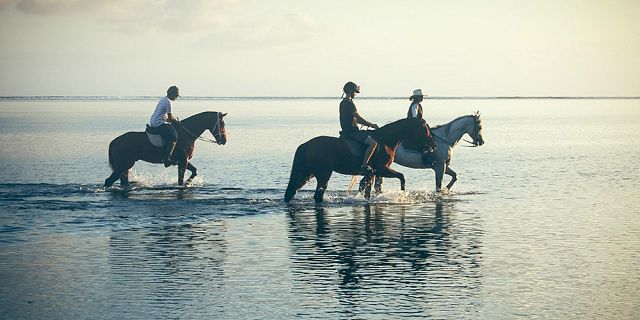 Romantic sunset horse riding on the riambel beach (4)